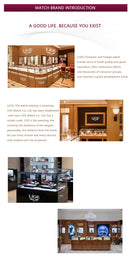 Mechanical Watches Men Fashion Luxury Automatic Mens Watch Waterproof Luminous