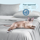 Summer Cooling Blanket / Instantly chill your nights, sleep dry and deep.